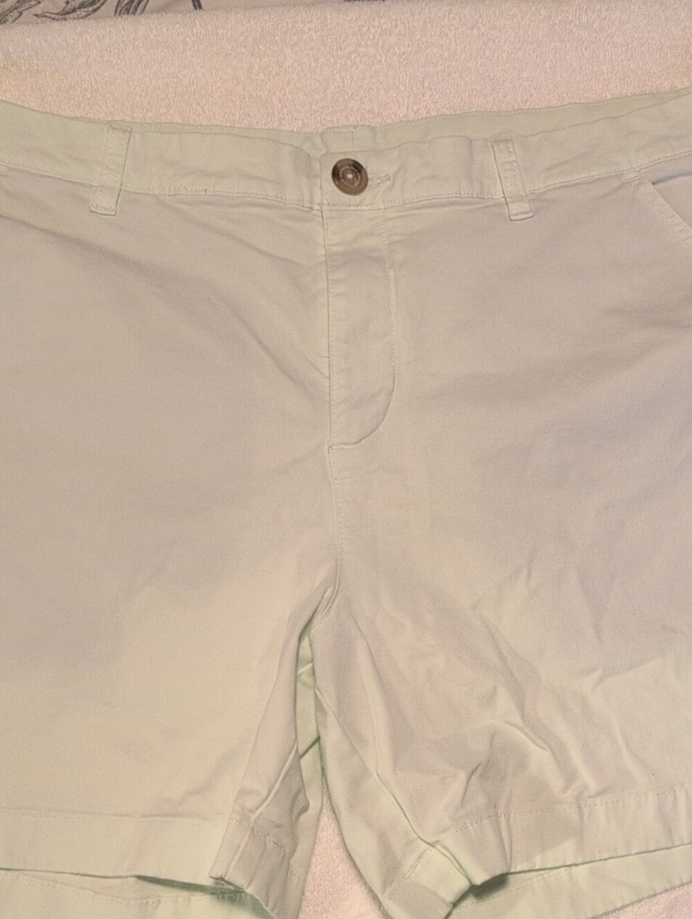 chubbies Light Mint Green Mens Bermuda Shorts